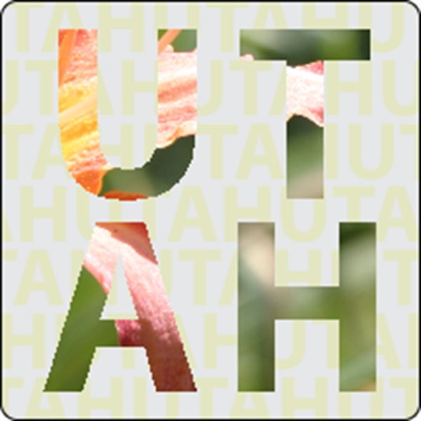 3" x 3" clear polyester decal with rounded corners and four... from ASI 89910 Stouse, LLC