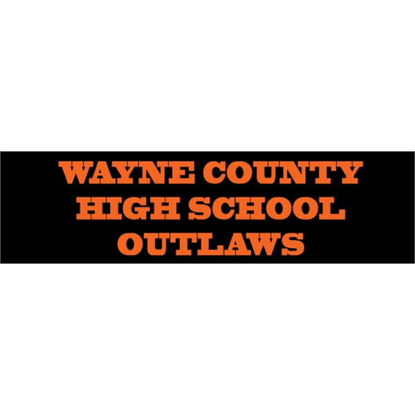 9.25" x 2.5" vinyl bumper sticker with pressure-sensitive adhesive.... from ASI 89910 Stouse, LLC