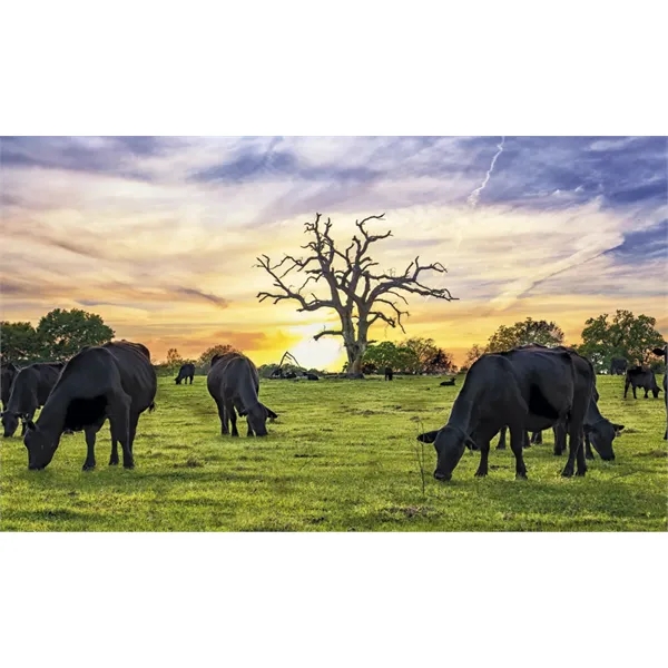 Farm Pocket... from ASI 40480 Koozie Group / Norwood Triumph Calendar