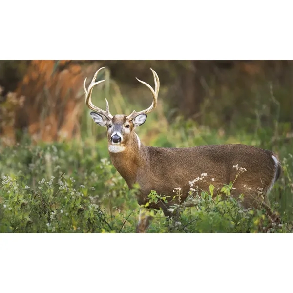 Home Cooking Guide Pocket... from ASI 40480 Koozie Group / Norwood Triumph Calendar