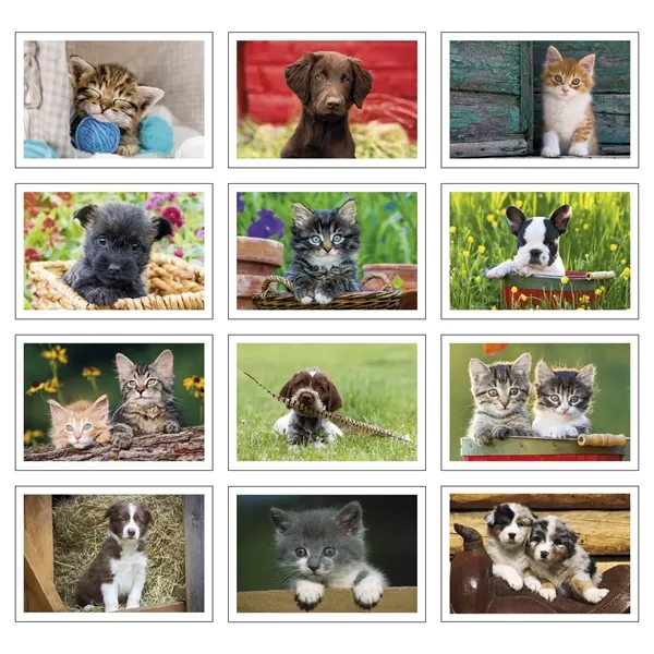 Puppies & Kittens Pocket... from ASI 40480 Koozie Group / Norwood Triumph Calendar