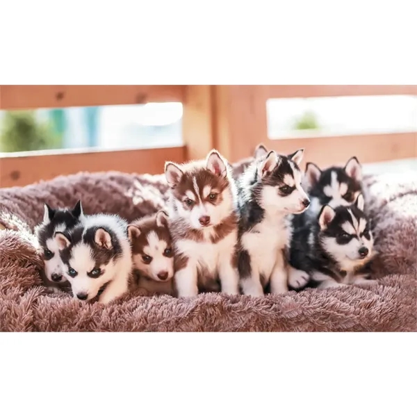 Pocket Cookbook Calendar... from ASI 40480 Koozie Group / HotLine®