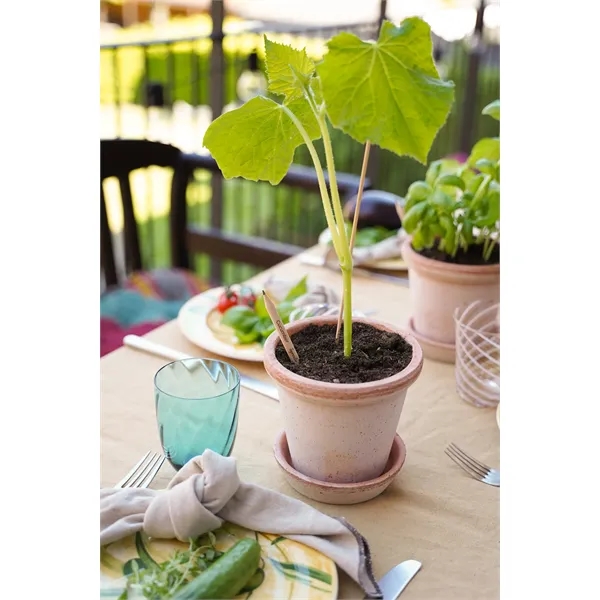 SproutWorld™ FSC® Pencil... from ASI 40480 Koozie Group