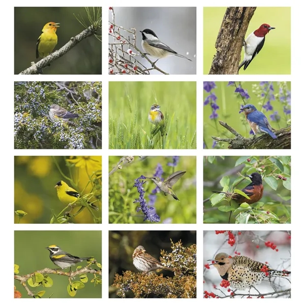 Songbirds Appointment Calendar - Stapled... from ASI 40480 Koozie Group / HotLine®