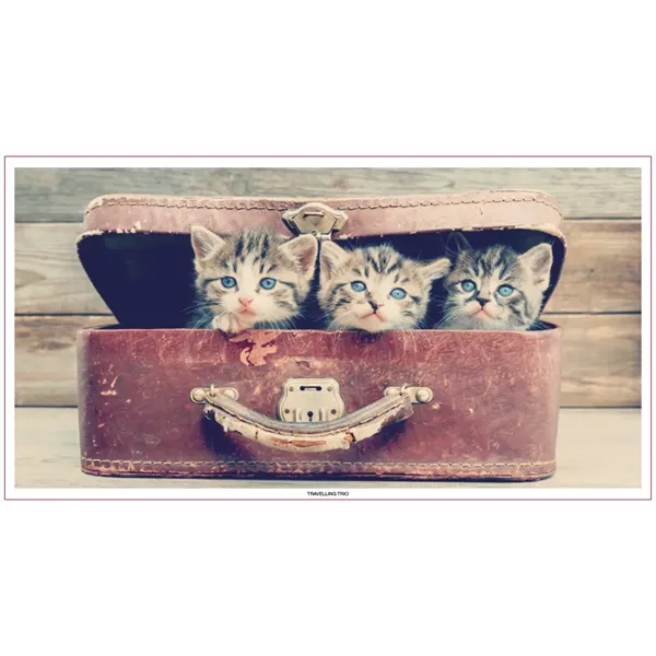 Large Everyday Farm Memo... from ASI 40480 Koozie Group