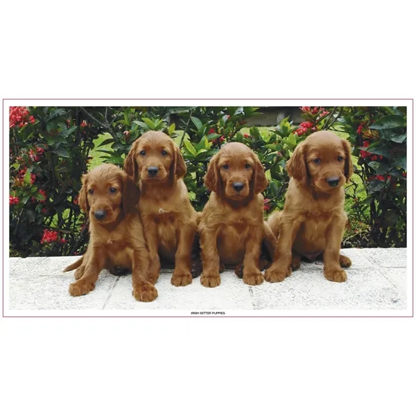 Large Everyday Farm Memo... from ASI 40480 Koozie Group