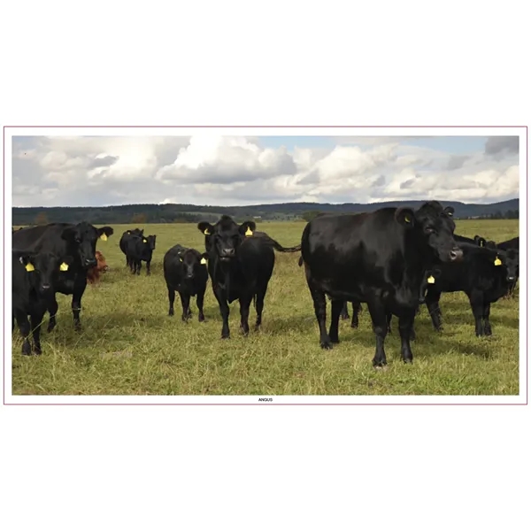 Large Everyday Farm Memo... from ASI 40480 Koozie Group