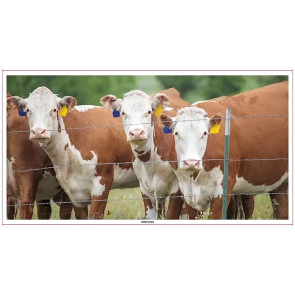 Large Everyday Farm Memo... from ASI 40480 Koozie Group