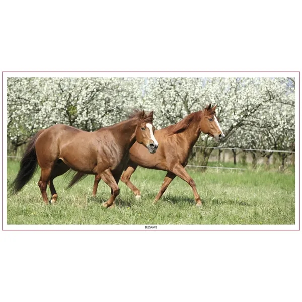 Large Everyday Farm Memo... from ASI 40480 Koozie Group