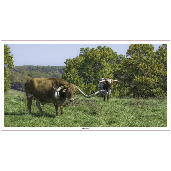 Large Everyday Farm Memo... from ASI 40480 Koozie Group