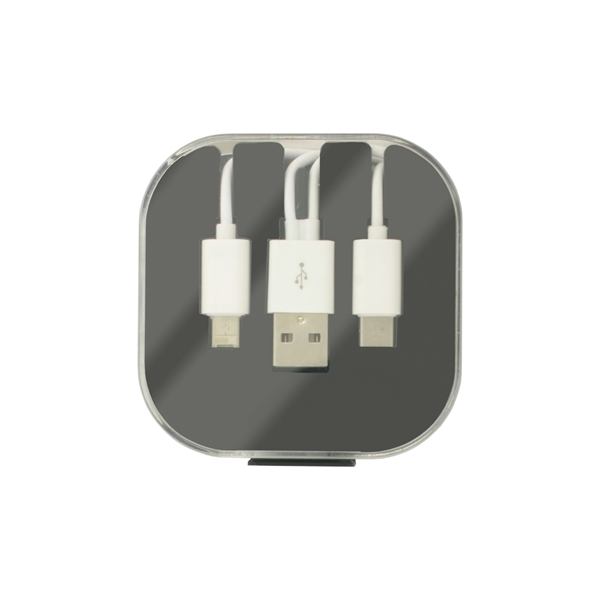 3-1 Charging Cable in case with stand... from ASI 93520 Ventura Inc