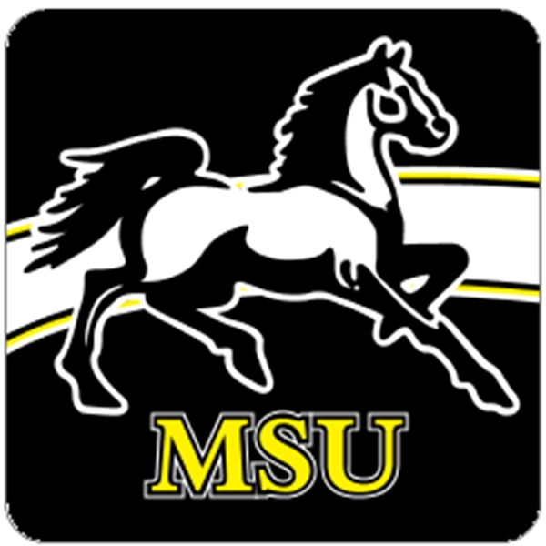 Square hitch cover with laminated decal applied to a plastic insert... from ASI 89910 Stouse, LLC