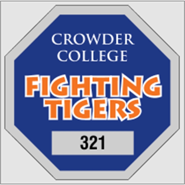 2 3/4" x 2 3/4" octagon shaped parking permit made of... from ASI 89910 Stouse, LLC