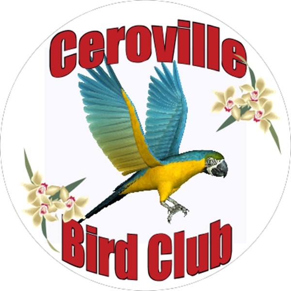 5.5" circle shaped bumper magnet, suitable for indoor or outdoor use;... from ASI 89910 Stouse, LLC