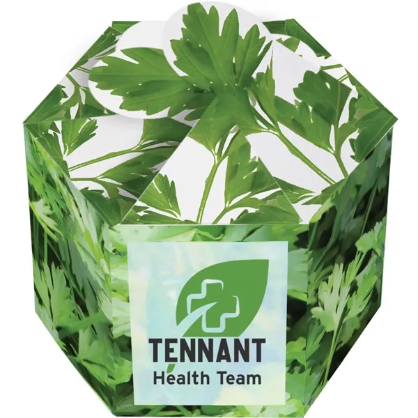 Pop up flower or herb starter kit with a container, soil... from ASI 54100 Fields Manufacturing Inc / Fields