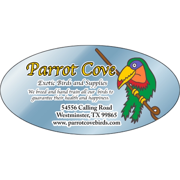 6" x 3" chrome polyester decal with oval shape; suitable for... from ASI 89910 Stouse, LLC