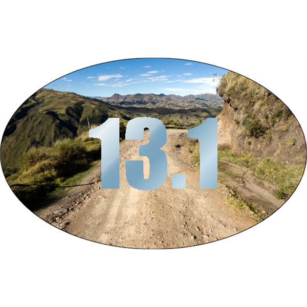 8" x 5" chrome polyester decal with oval shape; suitable for... from ASI 89910 Stouse, LLC