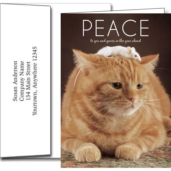 New Years greeting cards with fireworks design... from ASI 46719 Corner Lot Marketing Inc / CLMPromotions