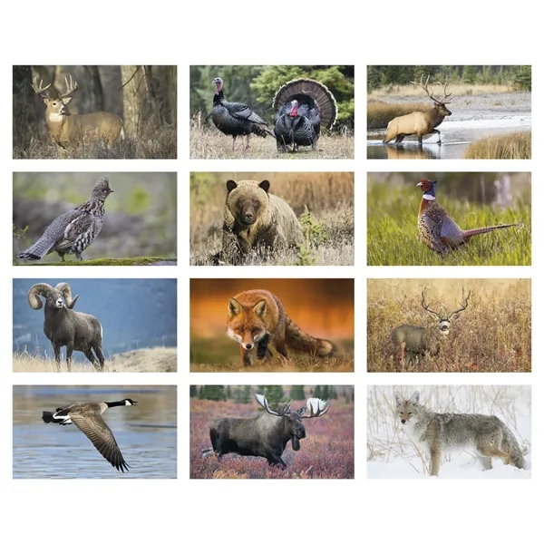 North American Wildlife... from ASI 40480 Koozie Group / Norwood Triumph Calendar