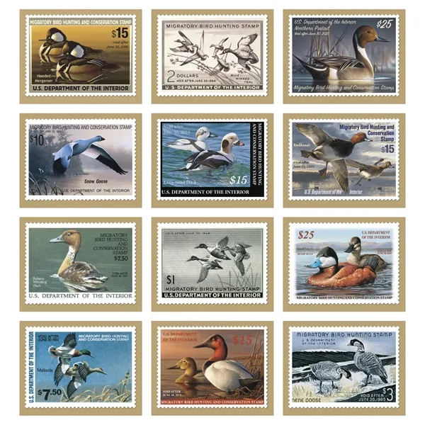 Duck Stamps... from ASI 40480 Koozie Group / Norwood Triumph Calendar