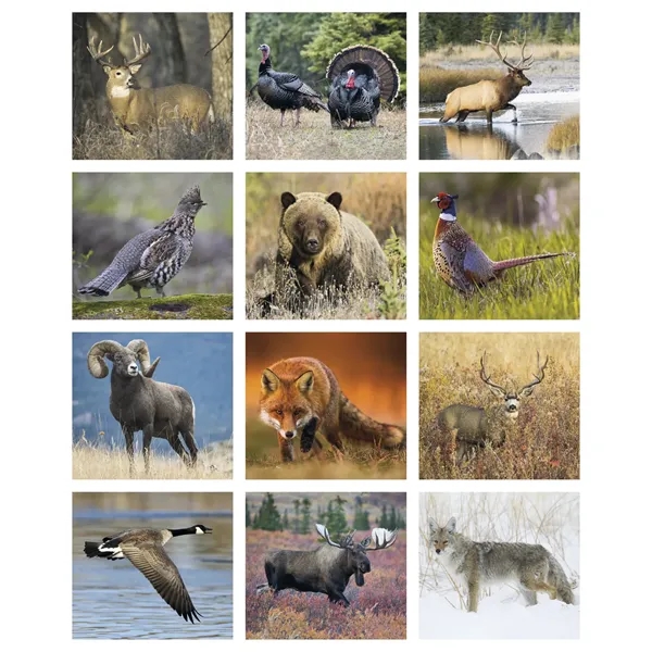 16 x 19 2024 Sportsman calendar.... from ASI 40480 Koozie Group / Norwood Triumph Calendar