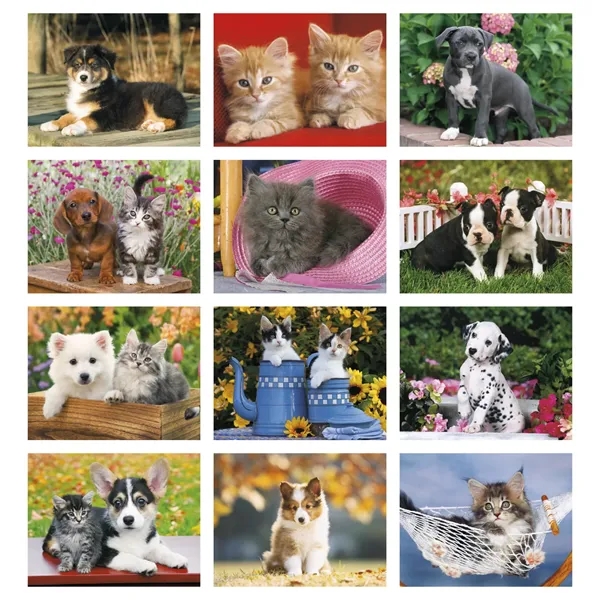 Four Paws Appointment Calendar - Spiral... from ASI 40480 Koozie Group / HotLine®