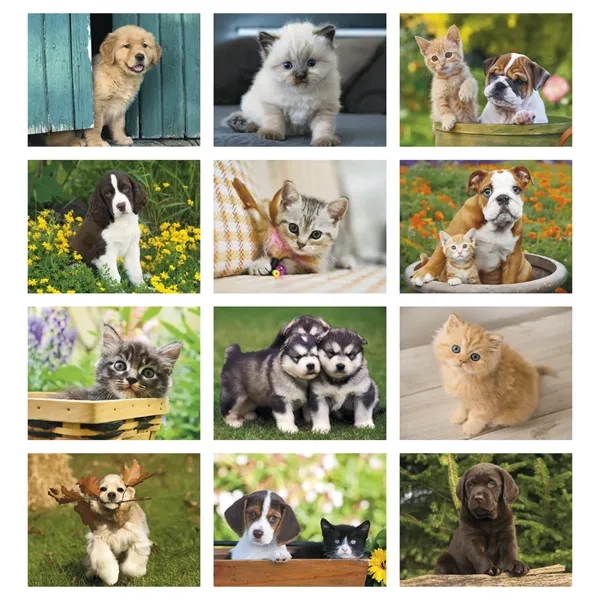 Puppies & Kittens - Stapled... from ASI 40480 Koozie Group / Norwood Triumph Calendar