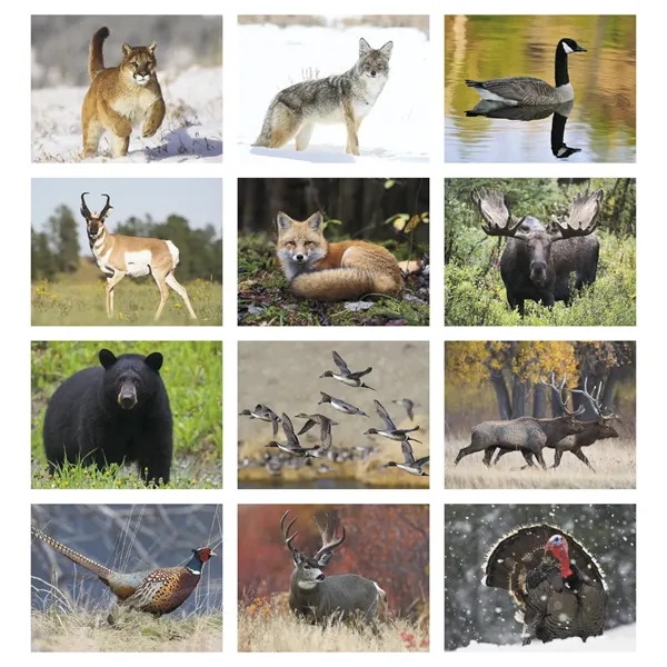 Wildlife Appointment Calendar - Stapled... from ASI 40480 Koozie Group / HotLine®