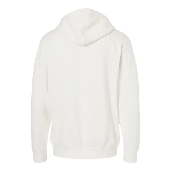 Heavyweight Pigment Dyed Hooded Sweatshirt... from ASI 84358 S&S Activewear