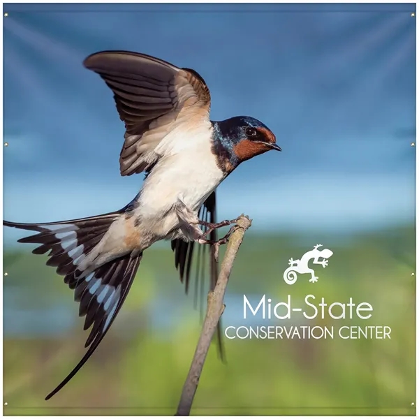 Banner for a 10' x 10' backdrop kit... from ASI 80228 Quinn