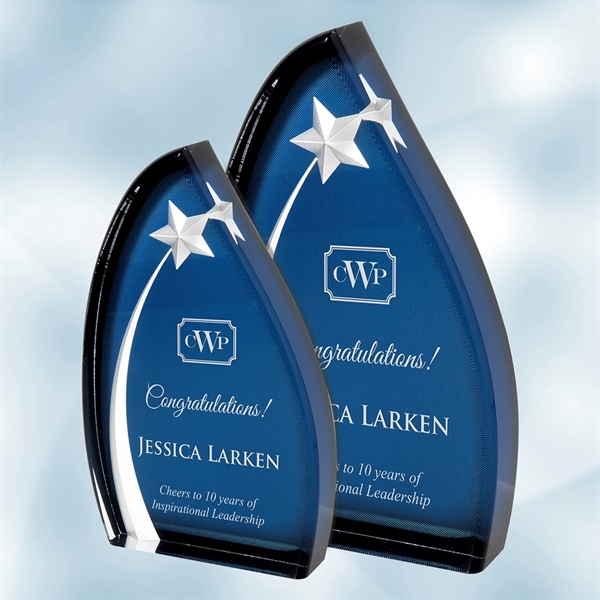 Award made of acrylic with an oval shape and a star... from ASI 47791 Best Deal Awards
