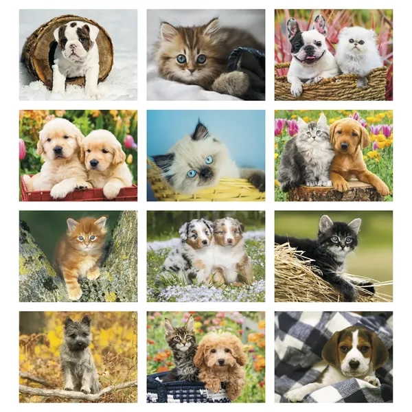 Four Paws Appointment Calendar - Spiral... from ASI 40480 Koozie Group / HotLine®