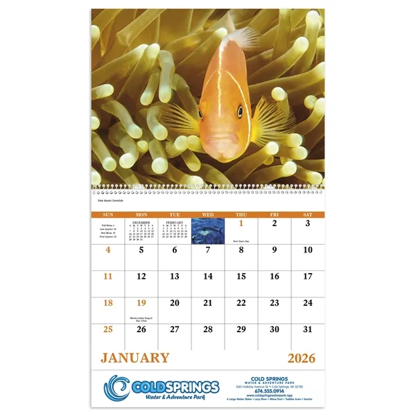 Ocean Glory - Spiral... from ASI 40480 Koozie Group / Norwood Triumph Calendar