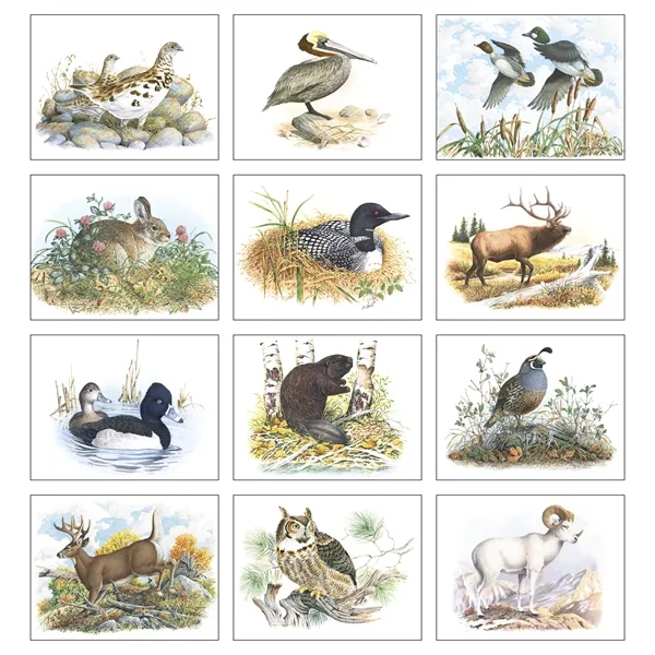 Wildlife Trek - Stapled... from ASI 40480 Koozie Group / Norwood Triumph Calendar