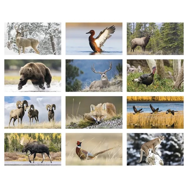 North American Wildlife... from ASI 40480 Koozie Group / Norwood Triumph Calendar