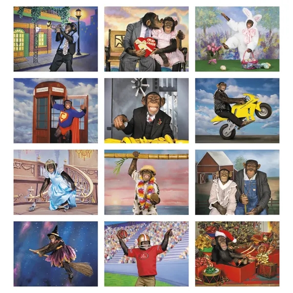 Monkey Business... from ASI 40480 Koozie Group / Norwood Triumph Calendar