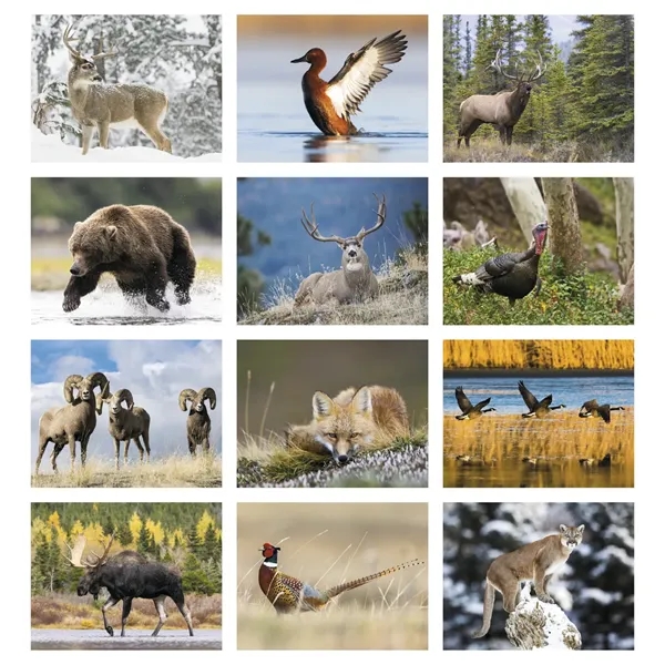 Southeast Sportsman... from ASI 40480 Koozie Group / Norwood Triumph Calendar