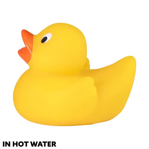 2.75" x 2.25" x 2" color changing rubber duck.... from ASI 34415 Alpi International LTD