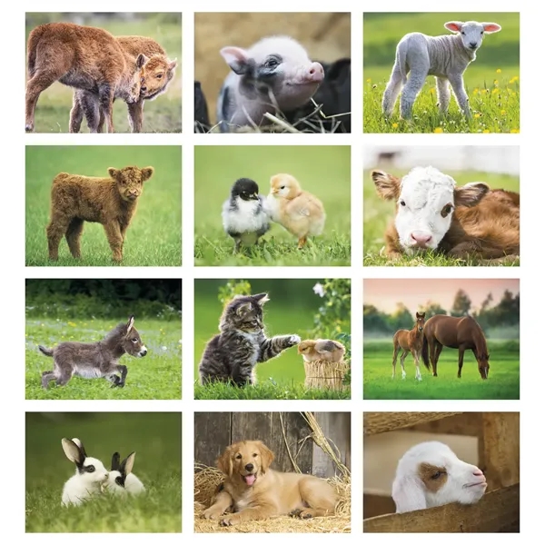 Baby Farm Animals - Stapled... from ASI 40480 Koozie Group / Norwood Triumph Calendar