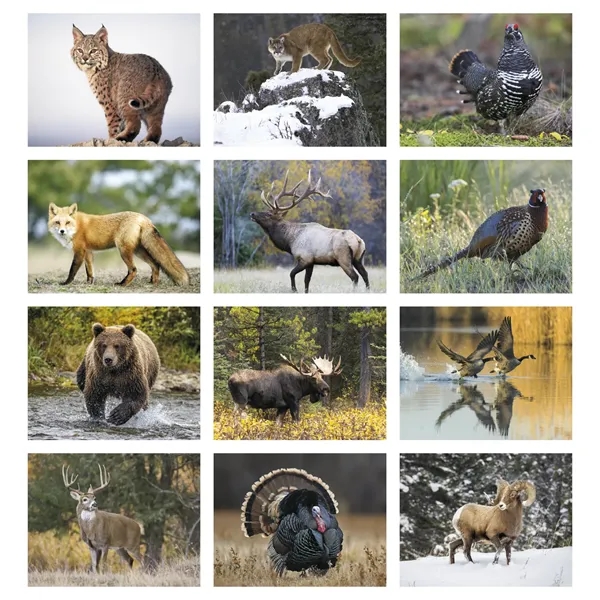 Wildlife Appointment Calendar - Stapled... from ASI 40480 Koozie Group / HotLine®