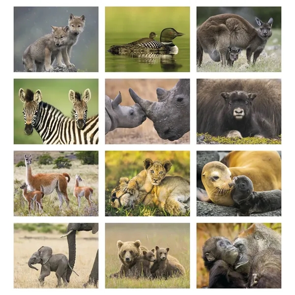 Animal Babies Appointment Calendar - Stapled... from ASI 40480 Koozie Group / HotLine®