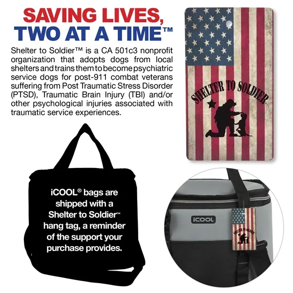 iCOOL® Pinecrest 12-Can Cooler... from ASI 67866 Logomark/Valumark
