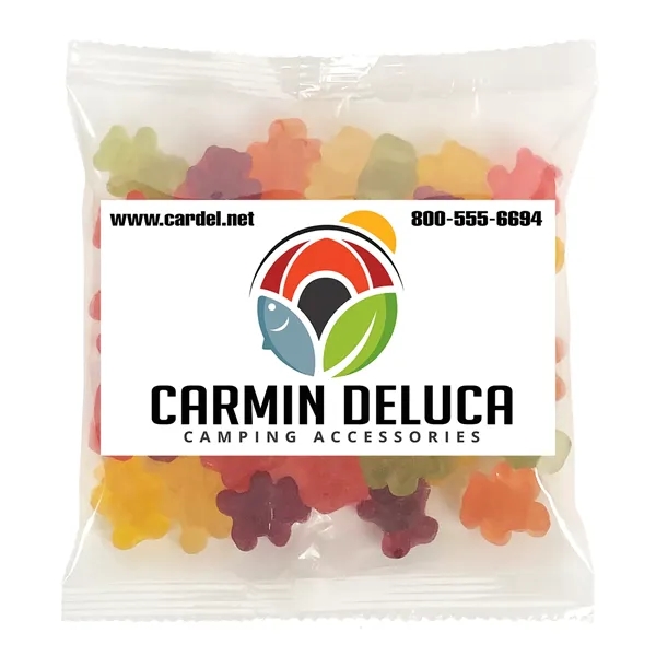 Large Snack Bag with a 2" x 3.5" Rectangle Magnet and... from ASI 68507 The Magnet Group / The 1919 Candy Company