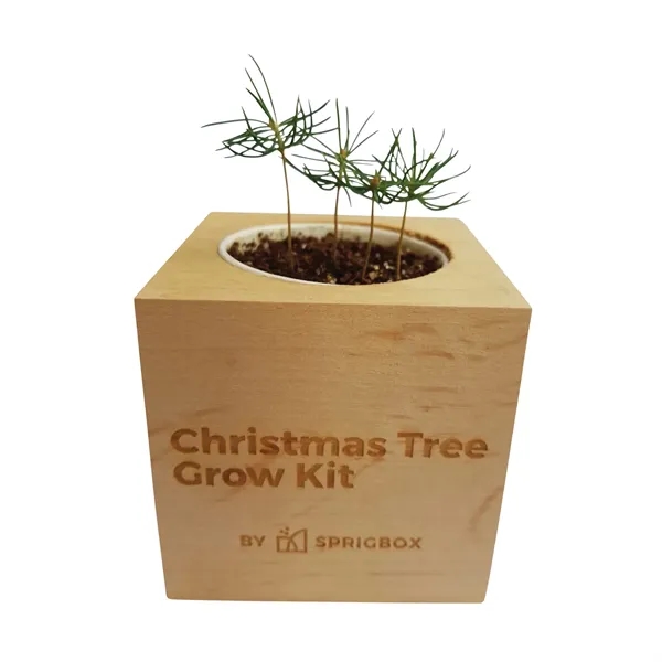Sprigbox Christmas Tree Grow Kit... from ASI 67866 Logomark/Valumark