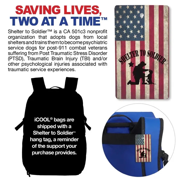 iCOOL® Vail 20-Can Cooler Backpack... from ASI 67866 Logomark/Valumark