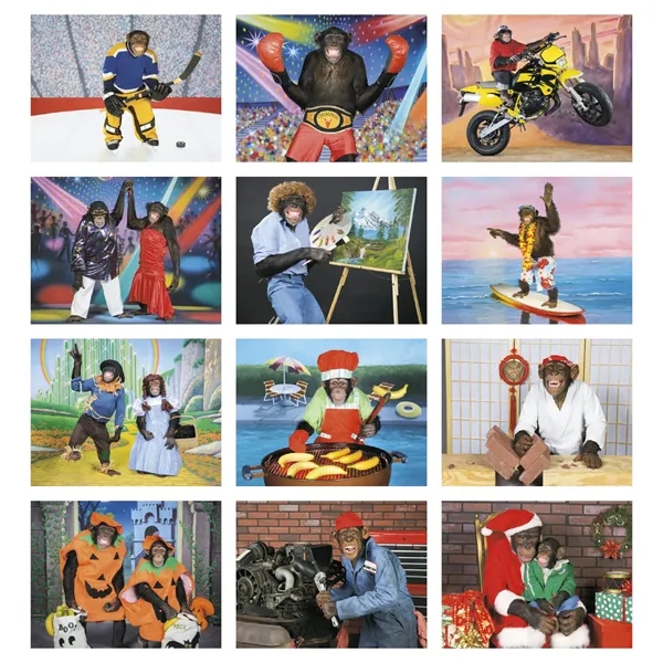 Monkey Mischief - Stapled... from ASI 40480 Koozie Group / Norwood Triumph Calendar