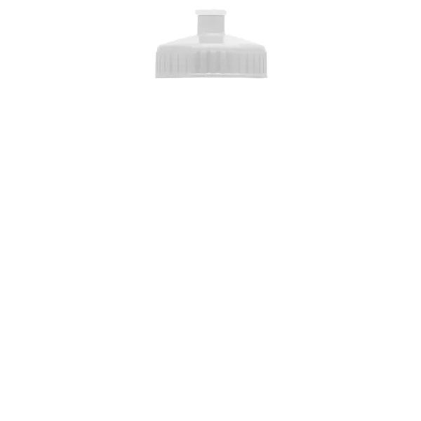 Garyline® Champ Recycled Bottle with Push-Pull Lid - 28 oz.... from ASI 40480 Koozie Group