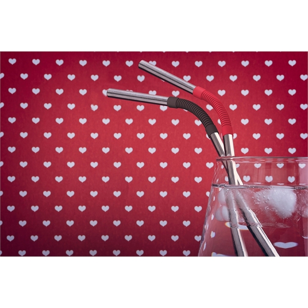 Stainless steel re-usable straw.... from ASI 31518 ADNART