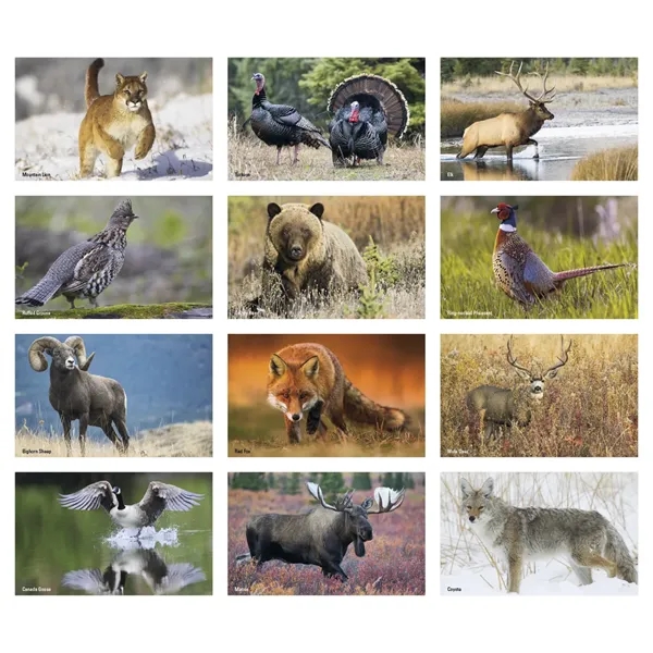 Press-N-Stick Sportsmen Calendar... from ASI 40480 Koozie Group