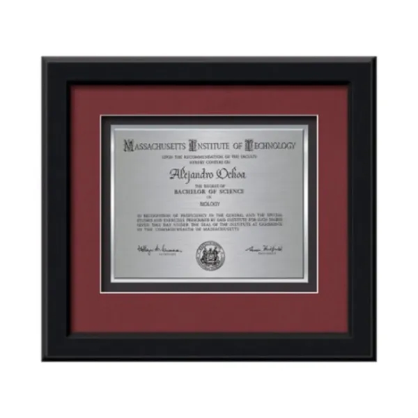 Commemorate a milestone achievement with Waterleaf Studios' Certificate collection... from ASI 84592 St Regis Group